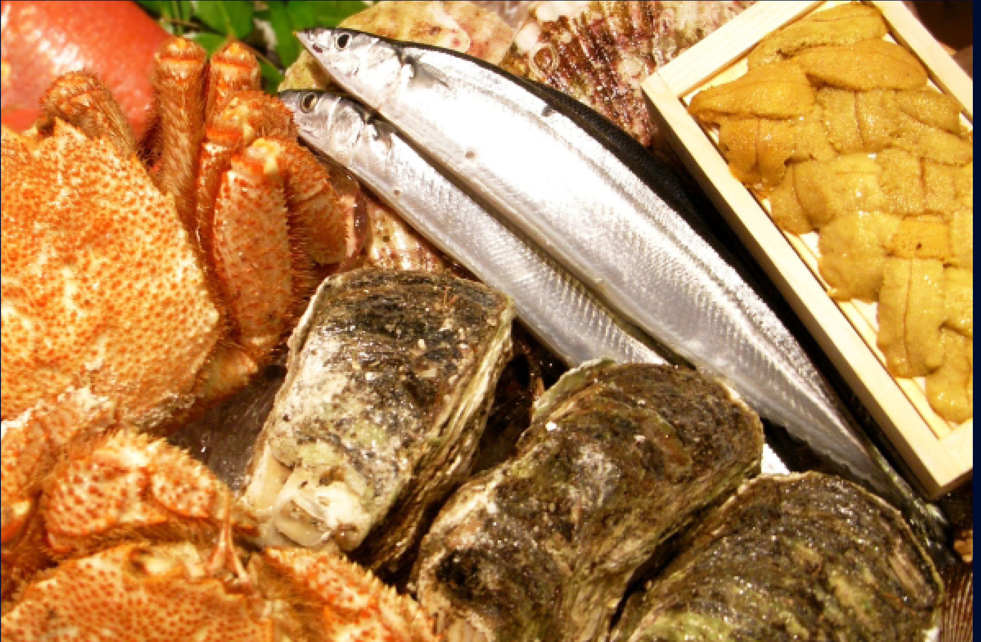 魚つぐ-魚にこだわる